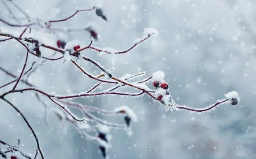 Ухудшение погоды прогнозируют в Казахстане