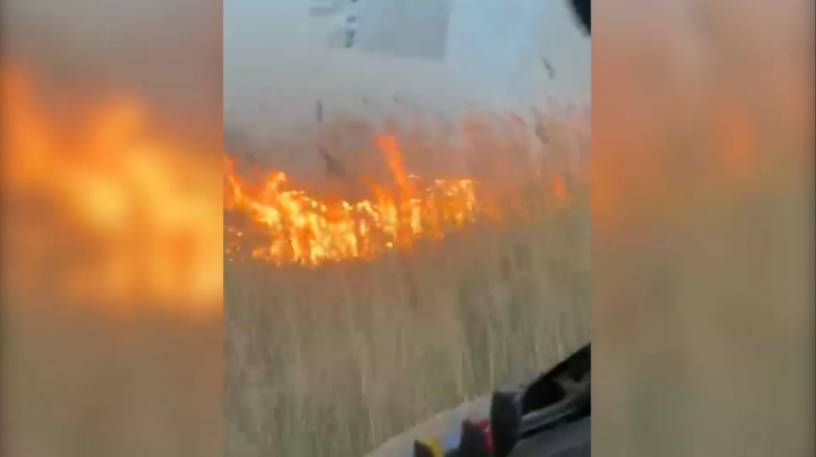 «Ақжайық» табиғи резерватының аумағында қамыс өртенді