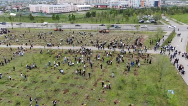«Таза Қазақстан»: 8 тысяч саженцев высадили в Алматы