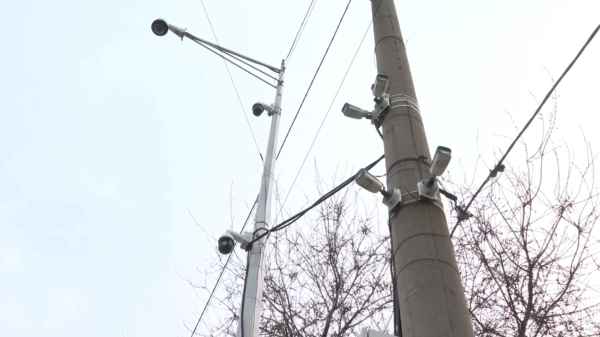 Шымкенттегі «Цифрлық қауіпсіздік» жүйесі заңсыз болып шықты