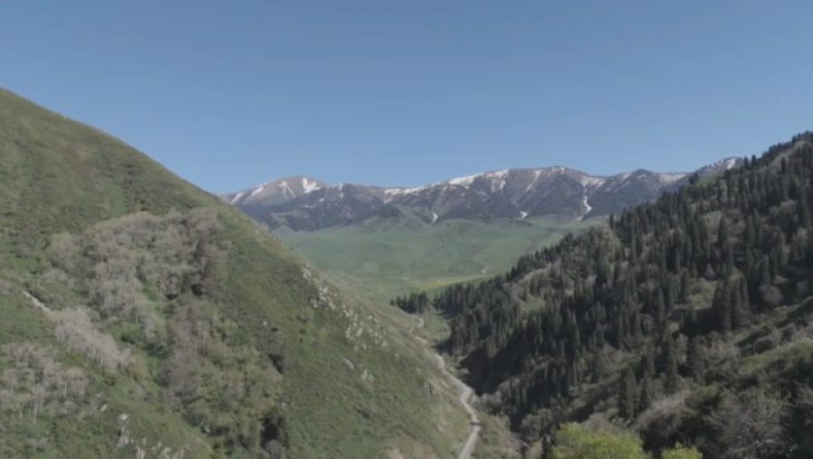 Новый туристический маршрут запустят в Иле-Алатауском нацпарке