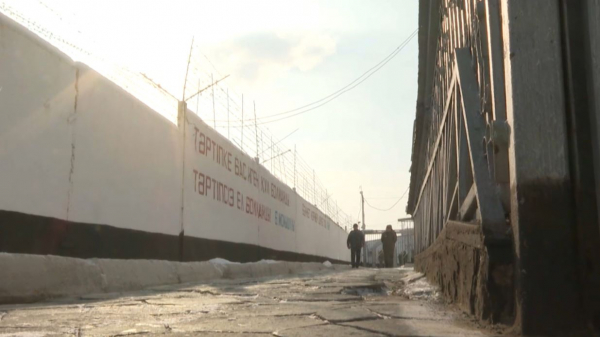 Закон и порядок: с начала года в Жамбылской области зарегистрировали 478 наркопреступлений