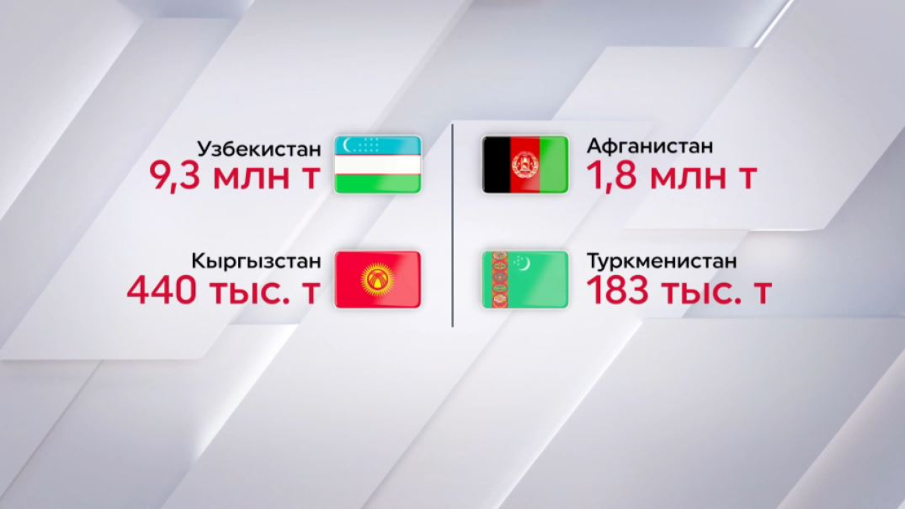 Казахстан увеличил экспорт зерна и муки