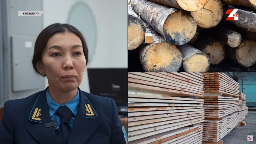 Ауыл шаруашылығының дамуына үлес қосып жүрген маман. Венера Омарова