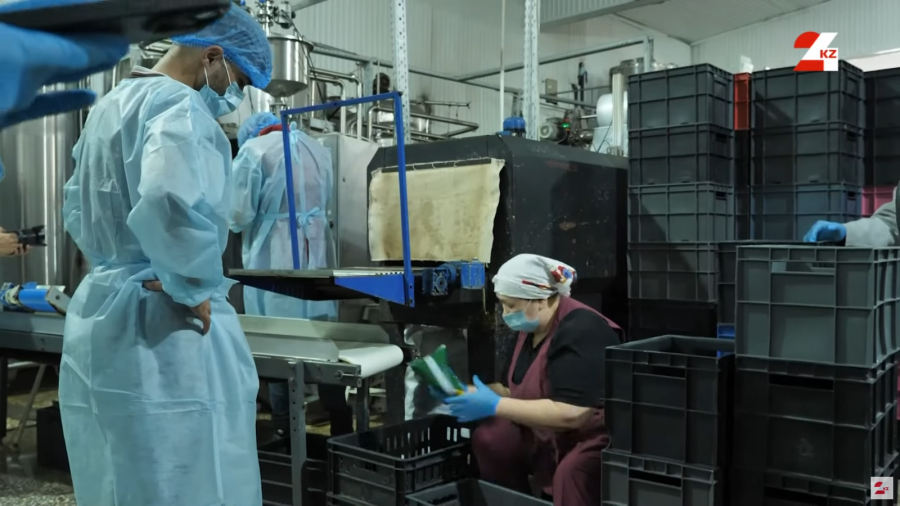 Как развивается переработка молока в Павлодарской области