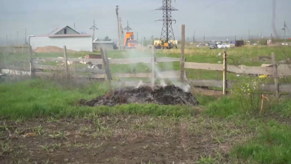 Сжигание сухой травы: штрафы заплатят более 400 жителей ВКО