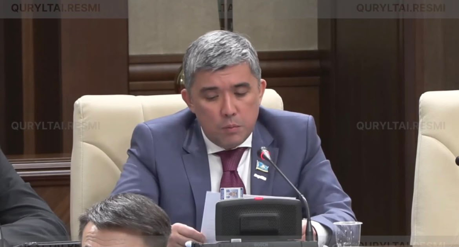 Үш жылдық жоғары білім беру моделін дамыту қажет – депутат