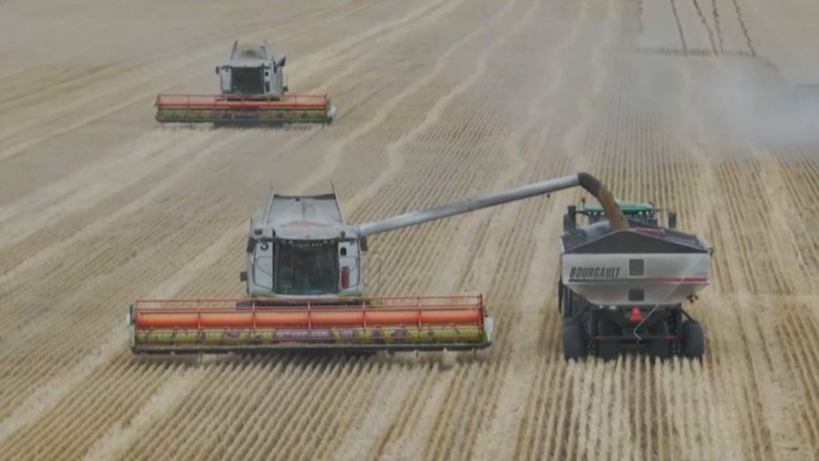 Искусственный интеллект в сельском хозяйстве