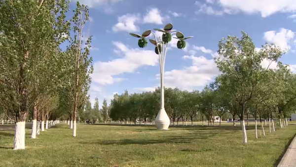 Сильную жару прогнозируют на юге Казахстана