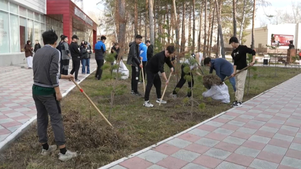 Таза Қазақстан: молодёжь Павлодара благоустраивает город