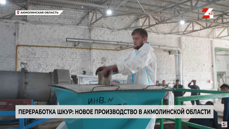 Переработка шкур: новое производство в Акмолинской области
