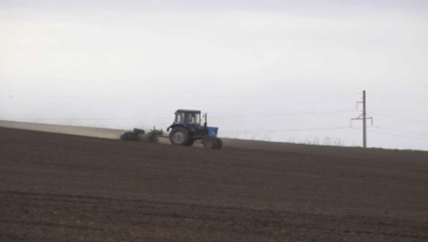 Посевные площади увеличат на 7 тыс. га в Восточном Казахстане