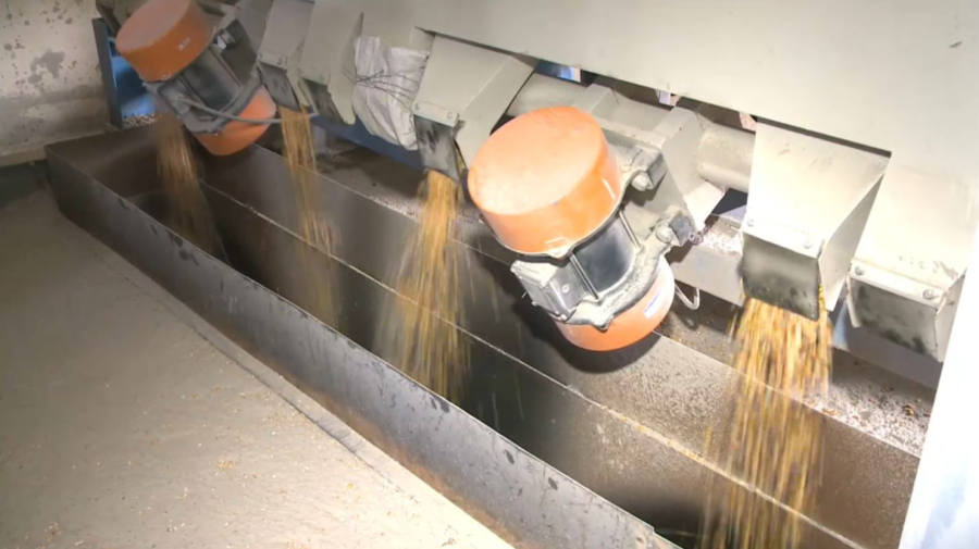 Астықты терең өңдейтін зауыттар іске қосылады