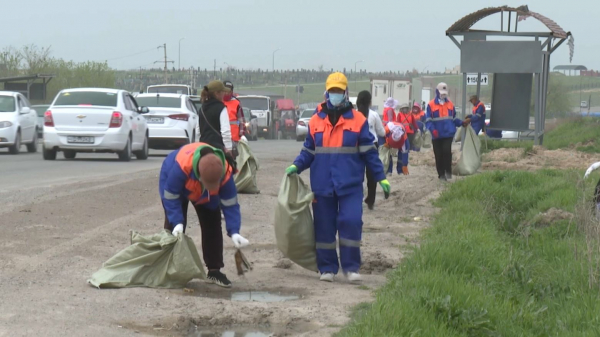 Шымкентте экологиялық науқанға 22 мың адам қатысты