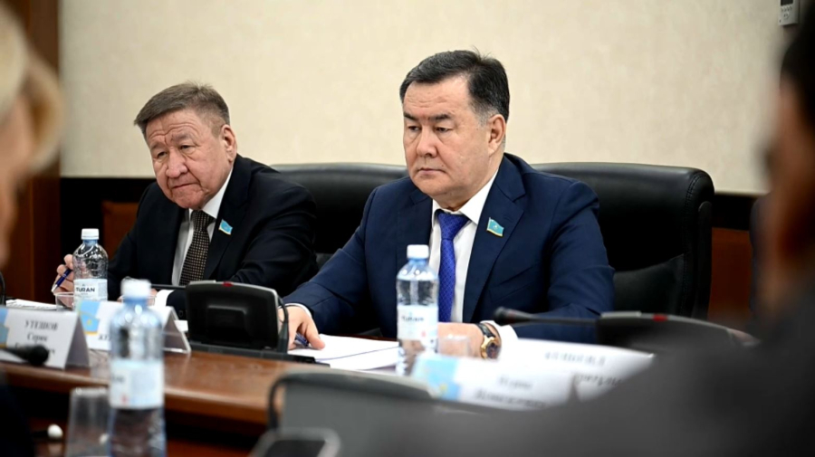 Сенатта ЕЭО шеңберінде мүлікті бағалау қызметін жетілдіру жайы талқыланды