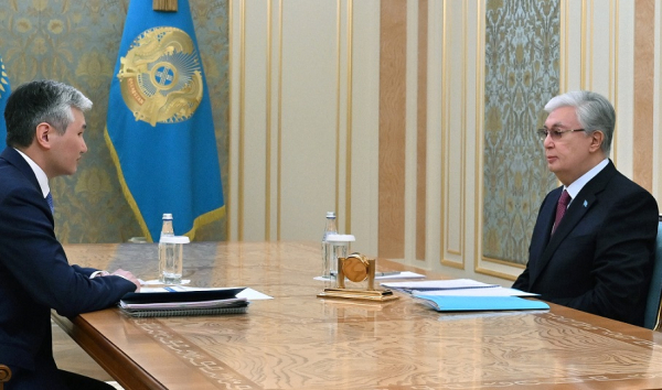 Глава государства принял акима области Улытау