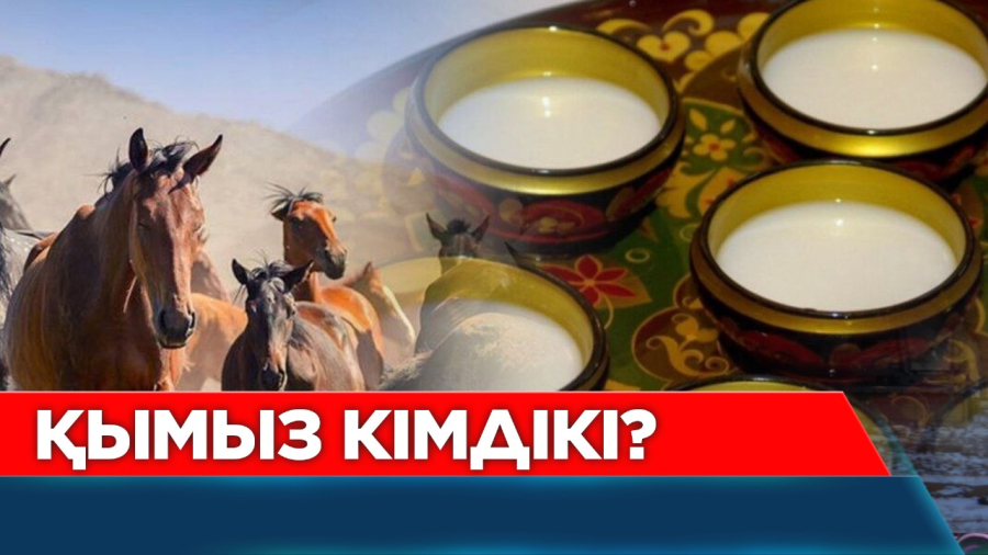 Қандай қымыз ішіп жүрміз? Қымыздың пайдасын немістер көріп жүр