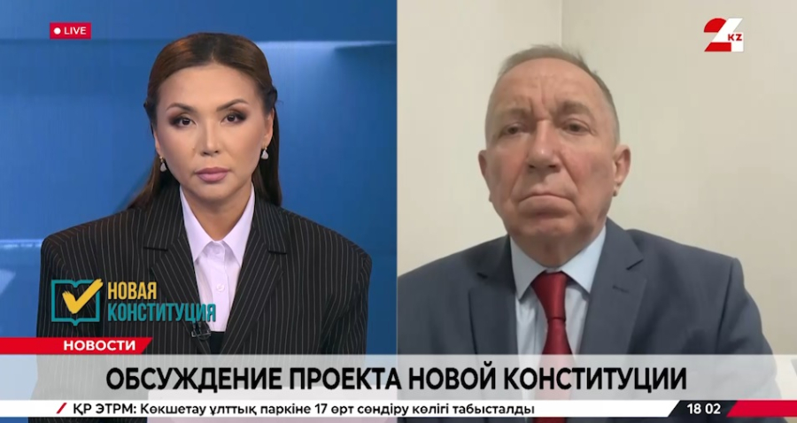 Обсуждение проекта новой Конституции. Николай Турецкий