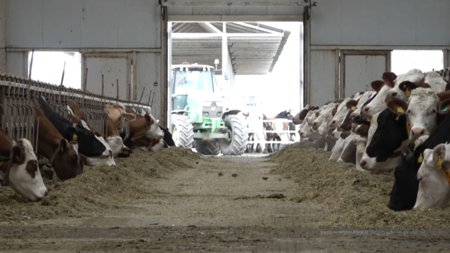 ₸50,3 млрд инвестиций привлекли в агропромышленный комплекс СКО