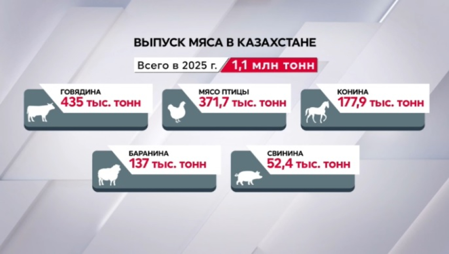 Казахстан произвел свыше 1 млн тонн мяса всех видов