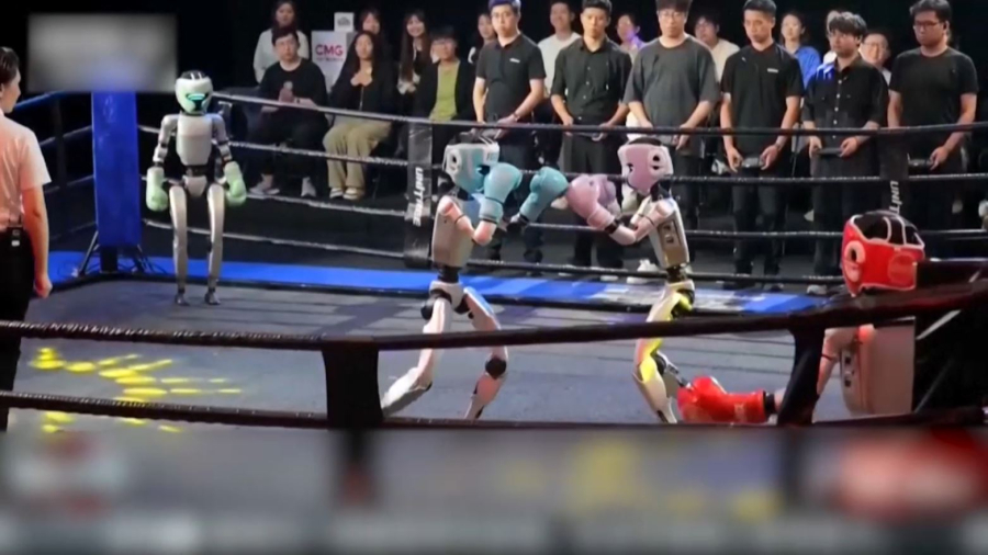 Қытайда роботтар жұдырықтасты