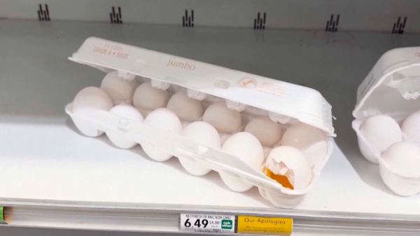 АҚШ-та жұмыртқа 6,5 долларға дейін қымбаттады