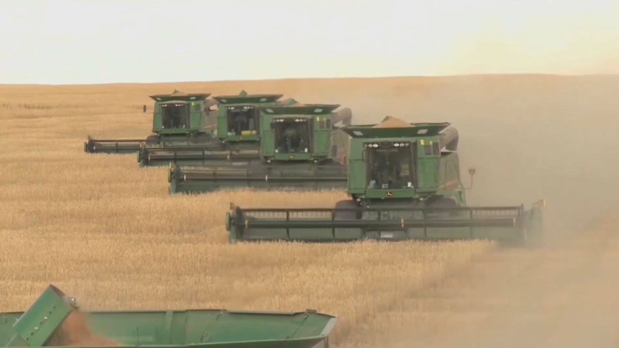 Ақмолалық диқандар жеті миллион тонна астық жинады