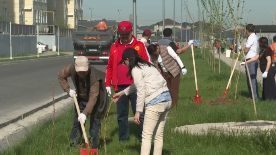 В Шымкенте в рамках экоакции посадили деревья
