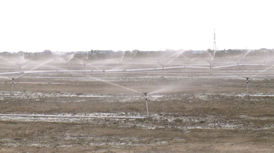 Кызылординская область сокращает потребление воды из Сырдарьи