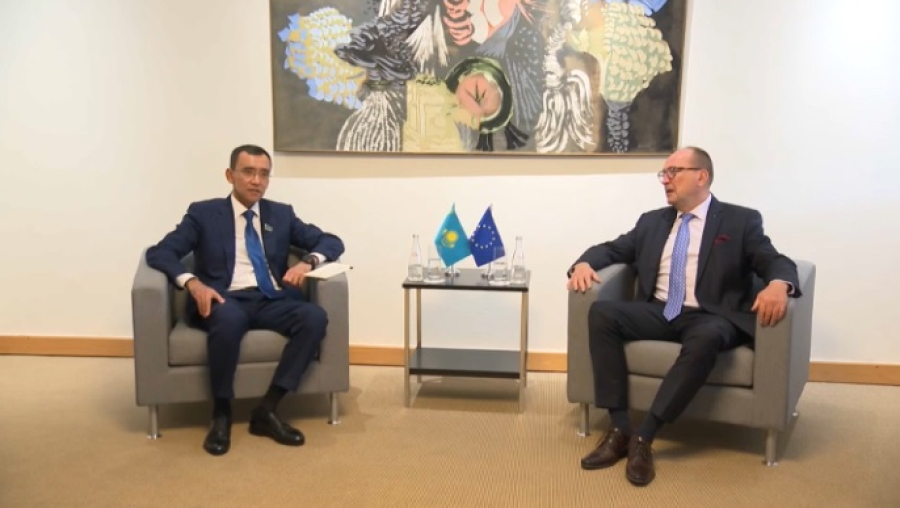 ПАСЕ примет доклад о Казахстане