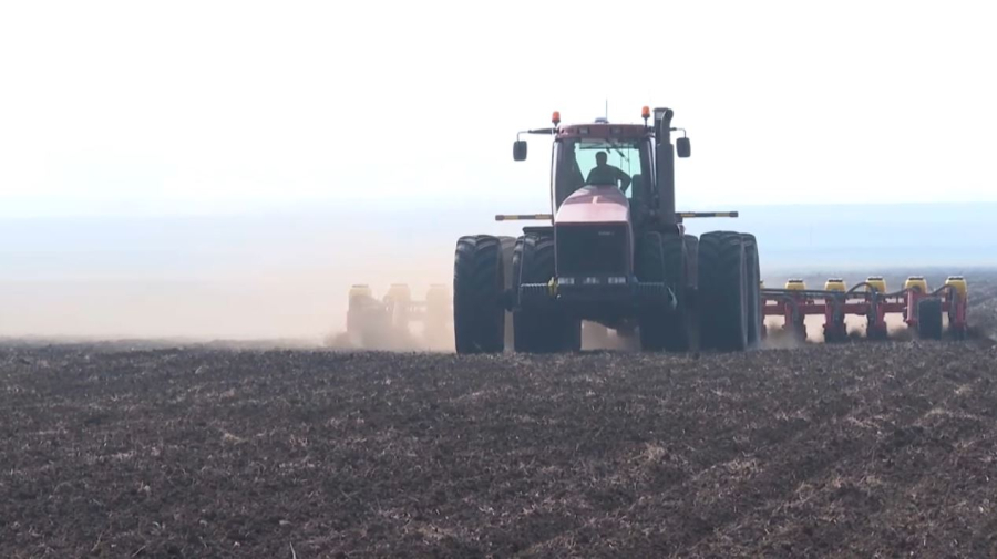 Акмолинские аграрии завершили посевную кампанию за 19 дней