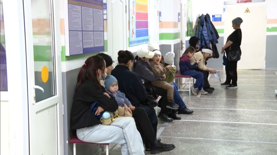 Елде қызылша жұқтыру көбейді