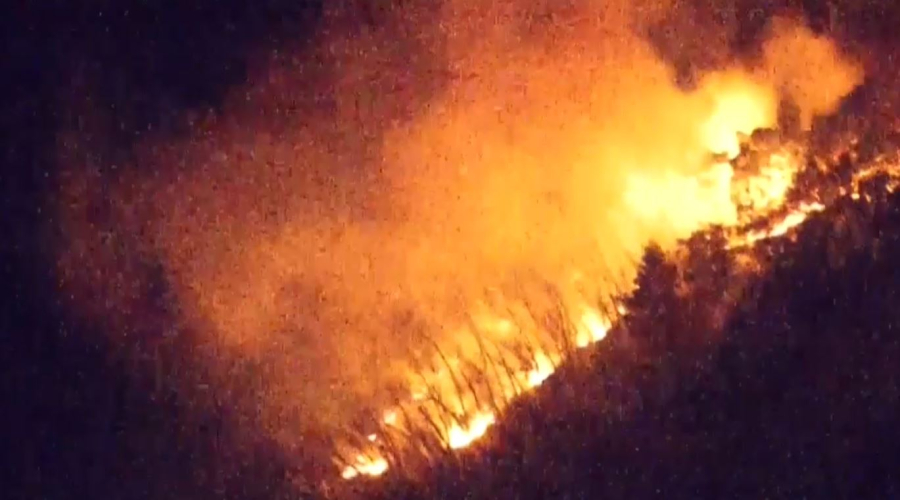 Жапонияда орман өрті өршіп барады 