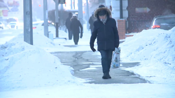 СҚО-да жалған екпе қою фактілері анықталды