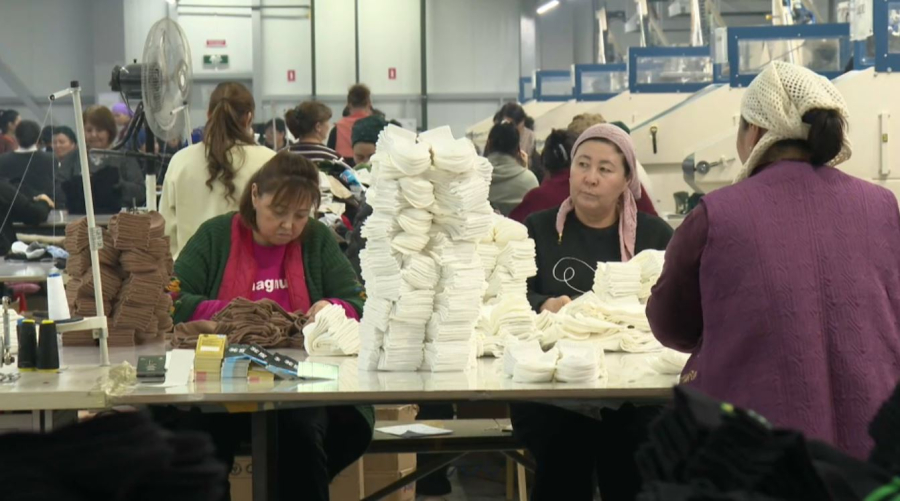 Шымкент шұлығы шетелге экспортталады