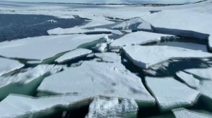 Арктика может лишиться половины ледяного покрова