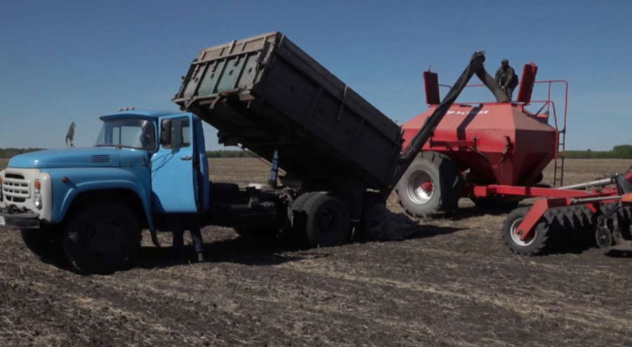 Площадь посевов вырастет до 24 млн га