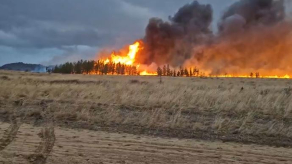 Степной пожар ликвидировали в Павлодарской области
