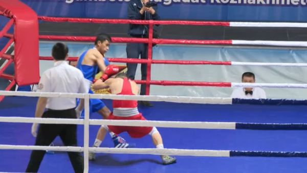 В Казахстане почти втрое сократят число приоритетных видов спорта