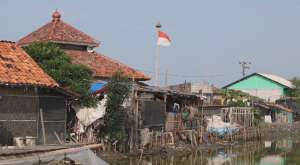 Индонезиядағы Ява аралын су басу қаупі бар