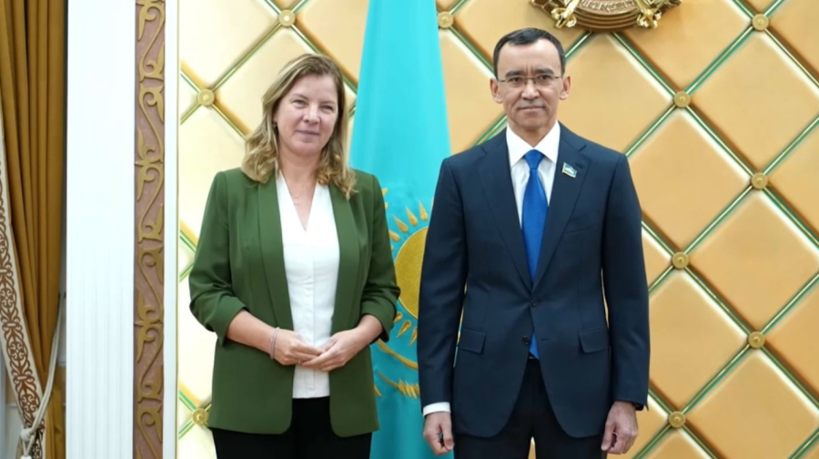 Сенат төрағасы Еуропа одағының Қазақстандағы өкілдігі басшысымен кездесті