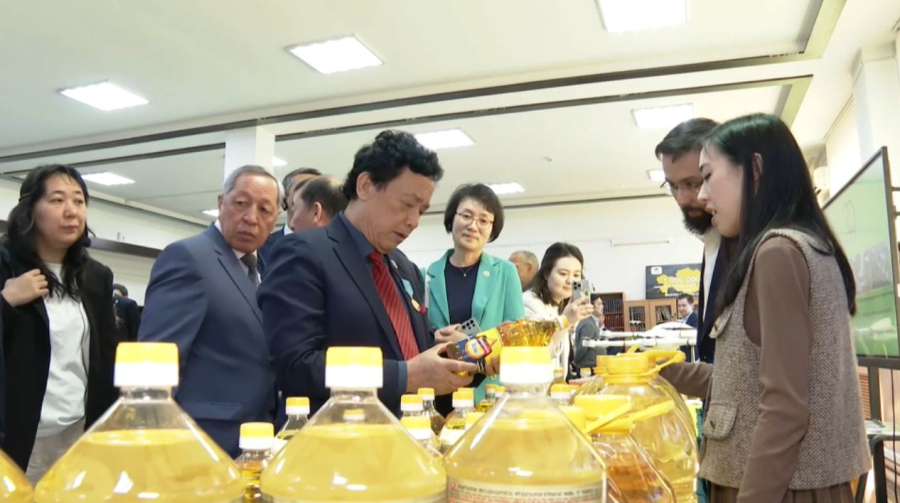 ФАО и Казахстан расширяют сотрудничество в аграрной сфере