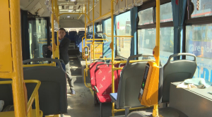 Көкшетауда 70-тен астам автобус жүргізушісі жетіспейді