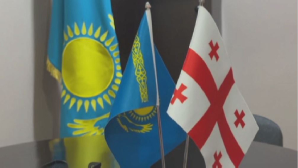 Почётное консульство Казахстана открыли в грузинском Гори