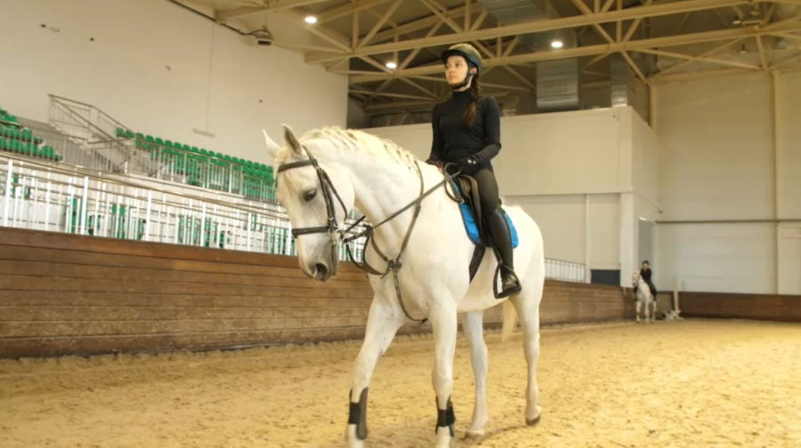 33 медали на соревнованиях по конкуру завоевали наездники из Астаны