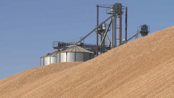 Хищения на ₸160 млн: осужден экс-директор мукомольного комбината