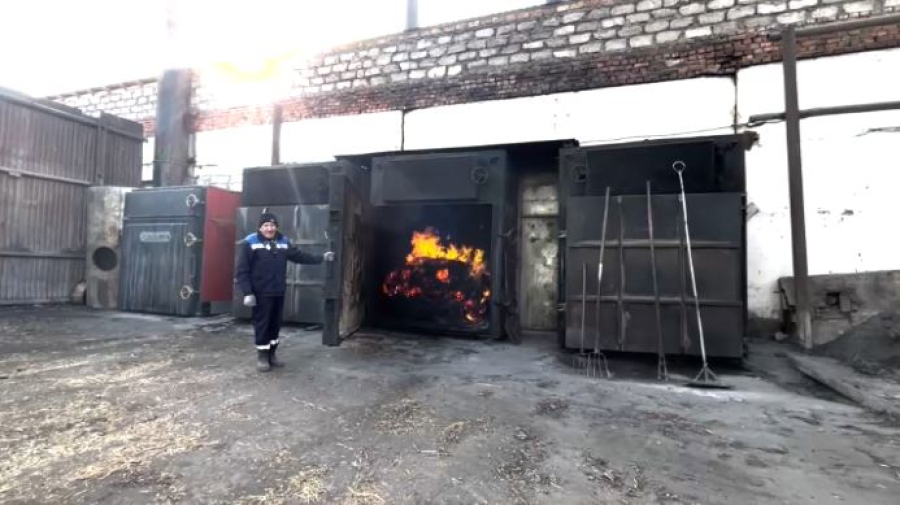 Как развивается село Целинное в СКО