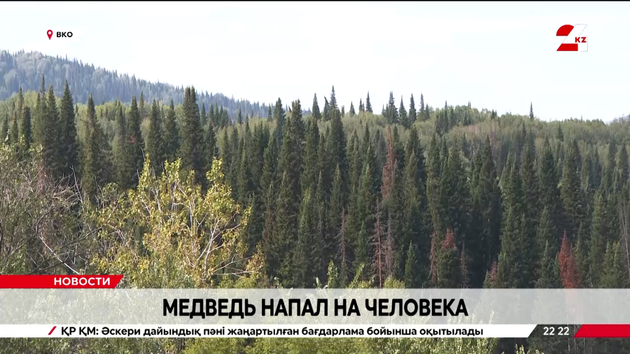 Случаи появления медведей вблизи населенных пунктов участились в ВКО