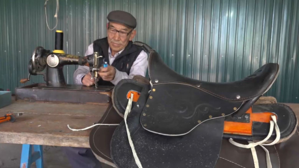 Абай облысында жаңа кәсіп ашқандар көбейді