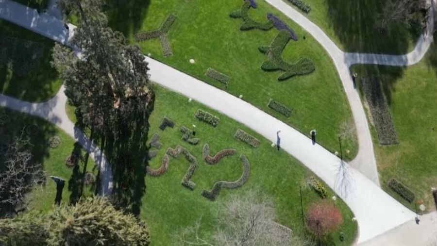 Фестиваль тюльпанов стартовал в Швейцарии